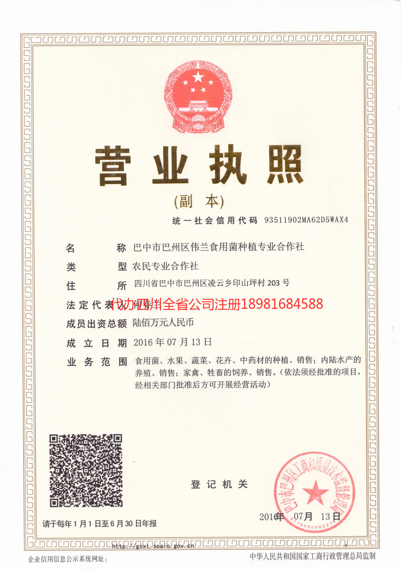 枣阳枣阳伟兰食用菌种植专业合作社